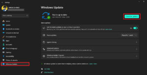 Check Windows Update