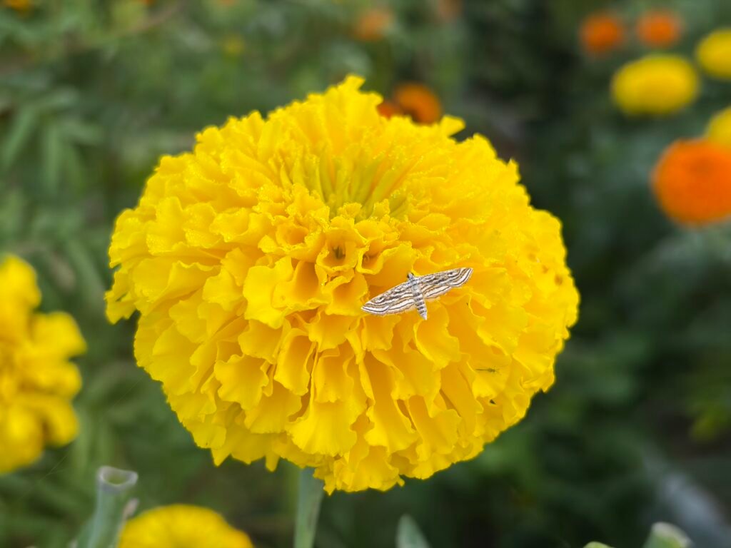 iPhone 17 Six-Month Review