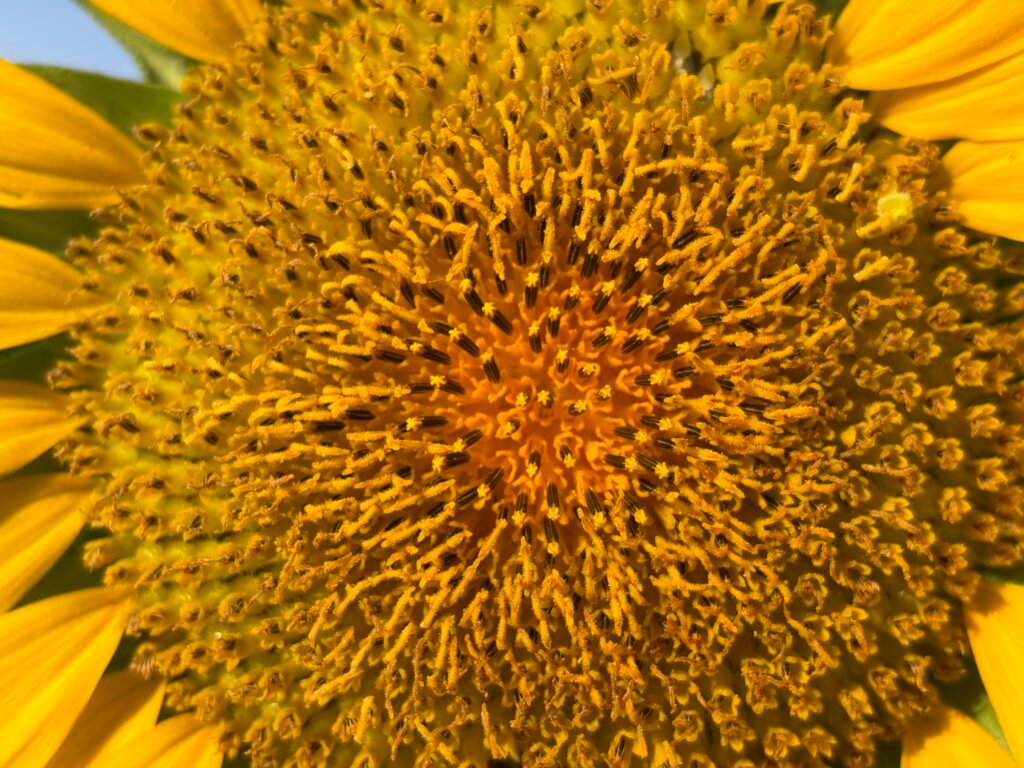 iPhone 17 Six-Month Review