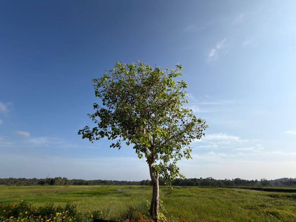 iPhone 17 Six-Month Review