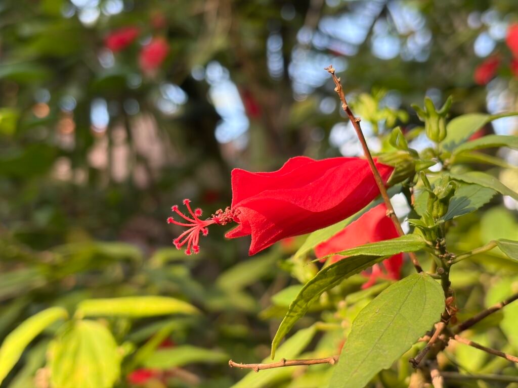 iPhone 17 Six-Month Review