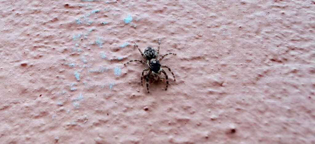 iPhone 17 Six-Month Review