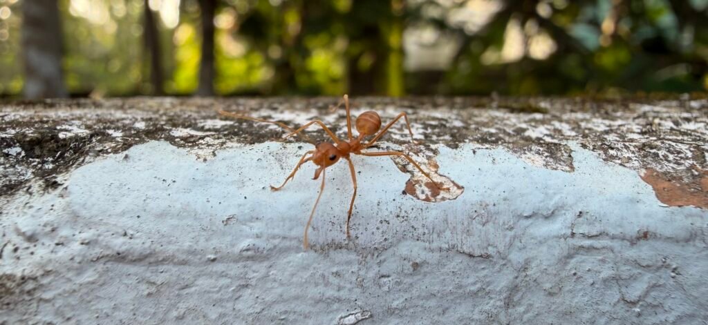 iPhone 17 Six-Month Review