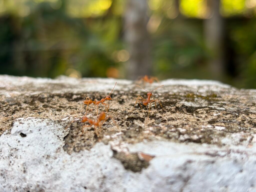 iPhone 17 Six-Month Review